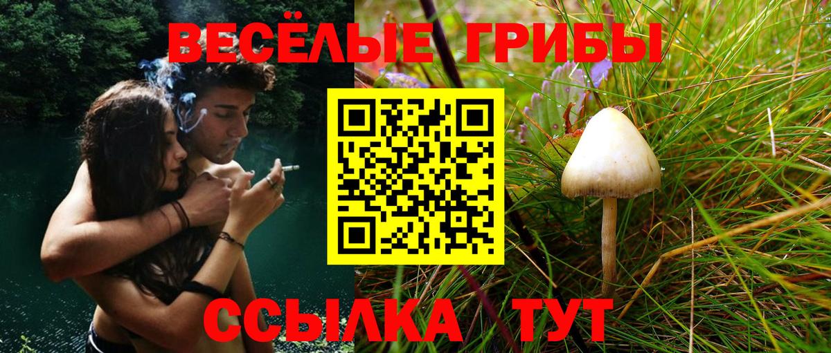 Псилоцибиновые грибы мицелий  Псилоцибиновые грибы ЛСД  Вход с VPN  Искитим 