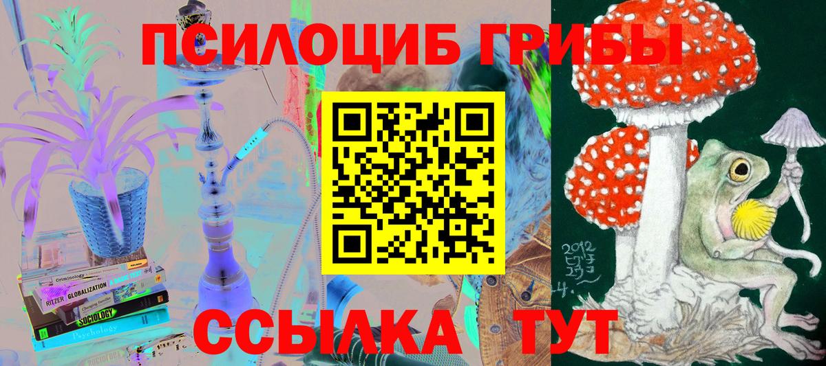 Галлюциногенные грибы мухоморы Искитим